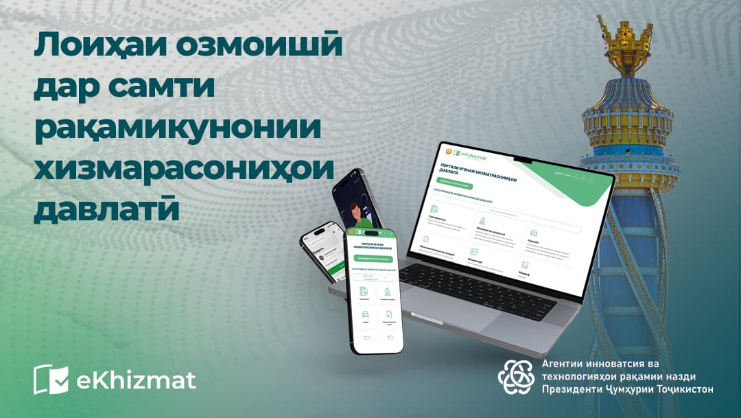 Pilot project on the digitalization of public services