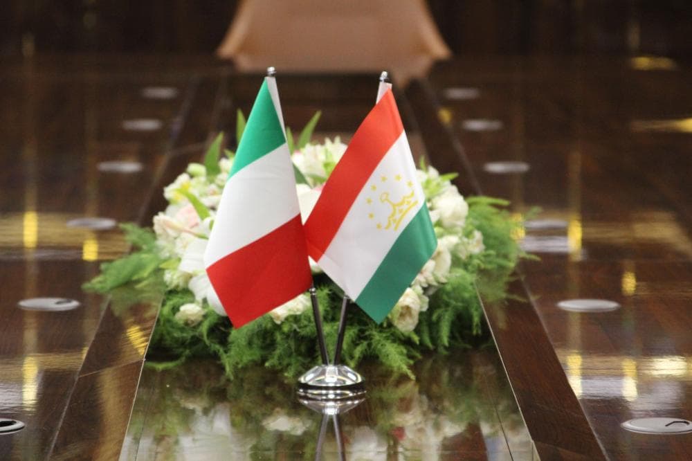 Meeting with a Representative of the Ministry of Foreign Affairs and International Cooperation of Italy
