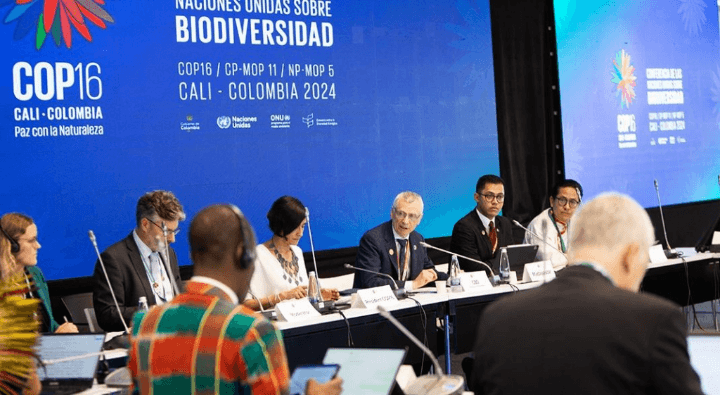 Participation of the Committee delegation at the high-level meeting on biodiversity within the framework of the plenary session of the 16th Conference of the Parties to the Convention on Biological Diversity
