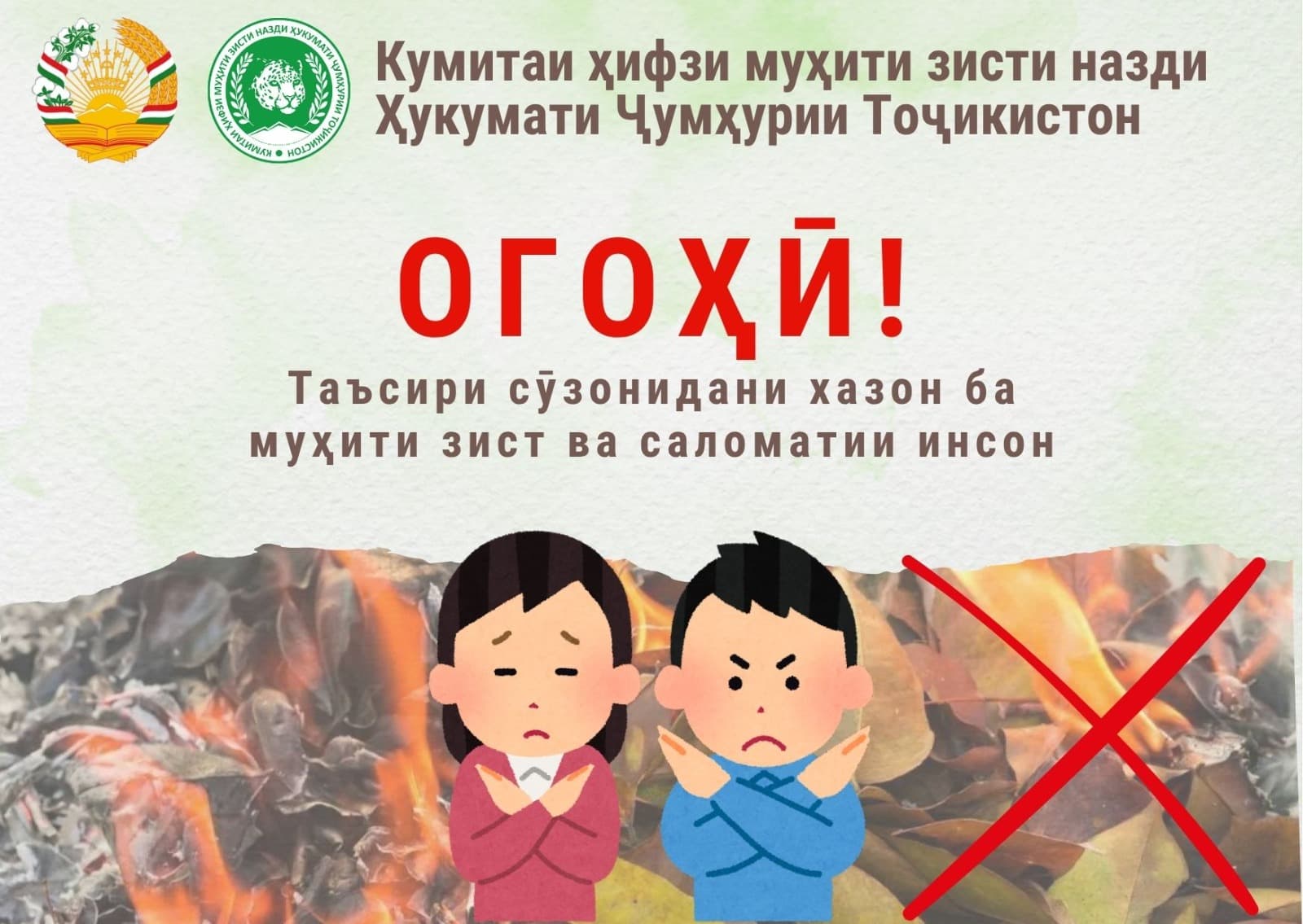 WARNING! The Impact of Burning Fallen Leaves on the Environment and Human Health