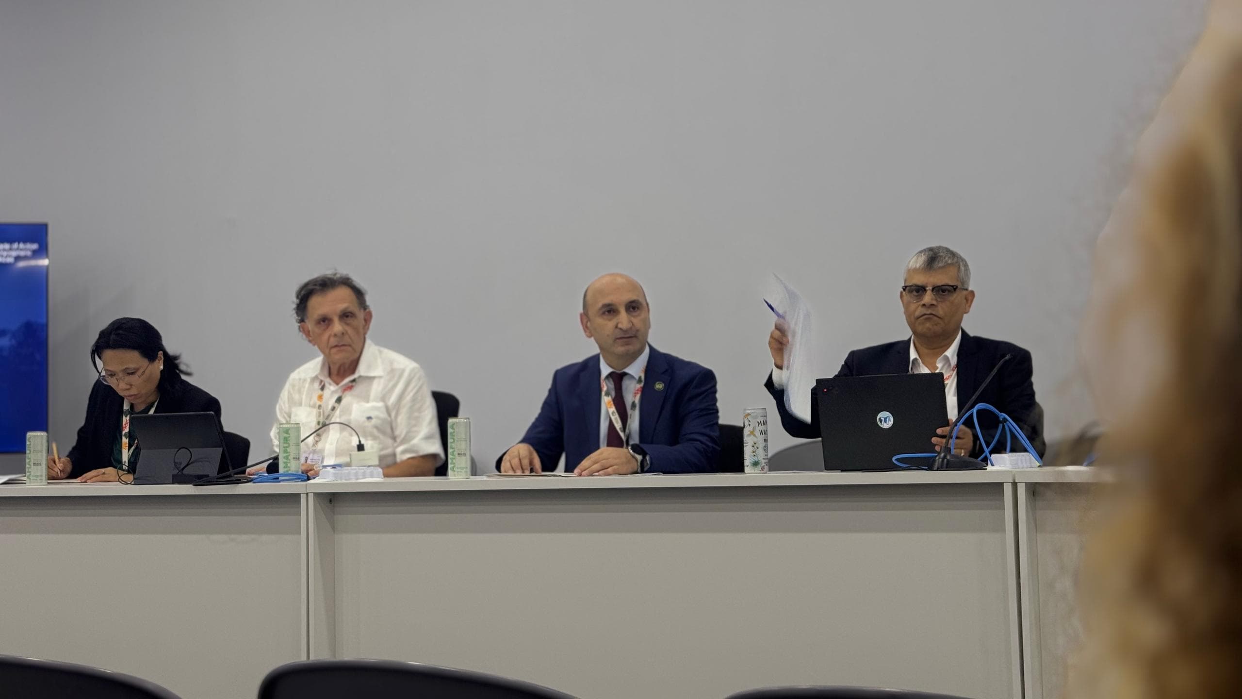 Meetings on the Sidelines of the 30th Conference of the Parties to the UN Framework Convention on Climate Change in Brazil