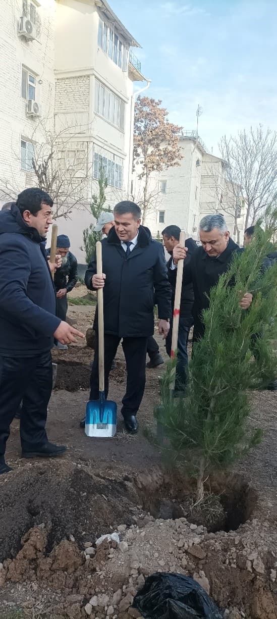 Посади дерево дружбы…
