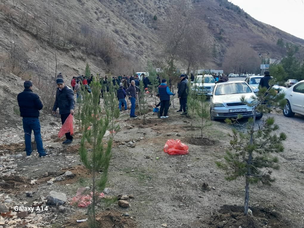 Выполнение работ по озеленению в районе Варзоб