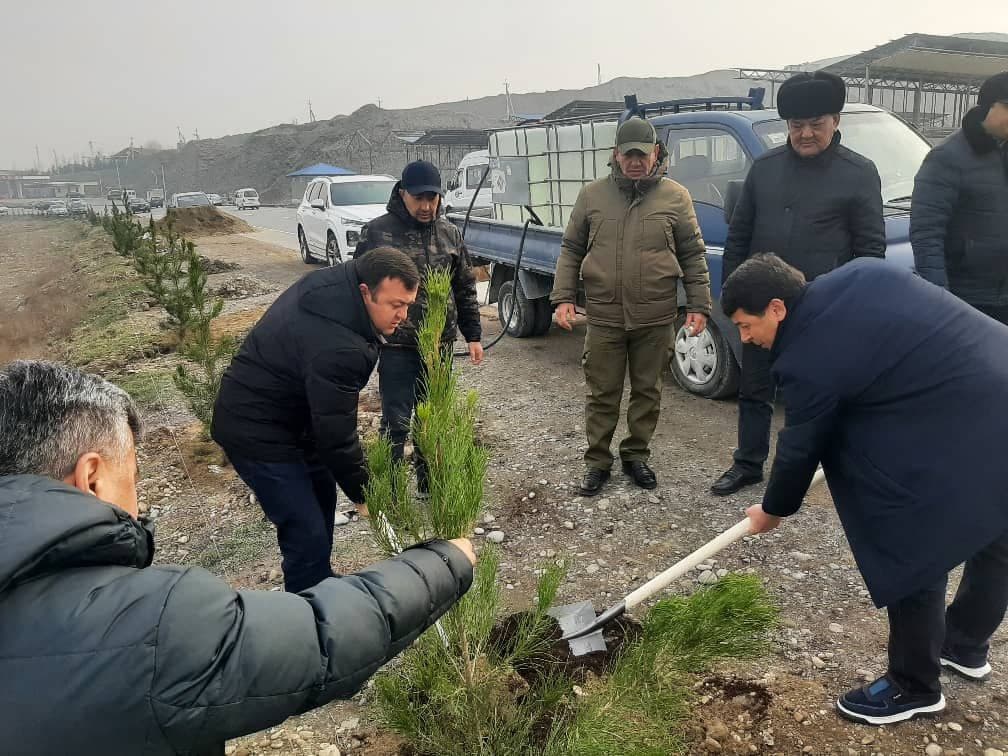 Проведение кампании по посадке саженцев в Согдийской области