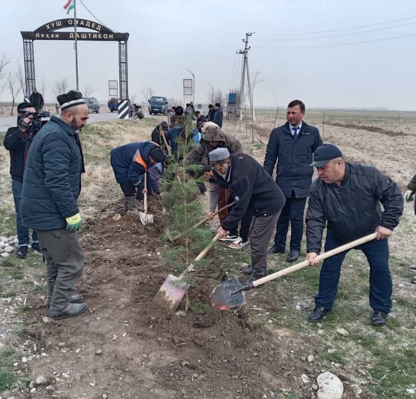 Expansion of Landscaping and Tree Planting Works in Devashtich District