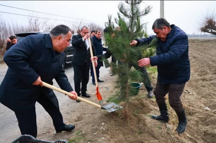 Tree-planting activities and mass environmental campaigns are continuing in the cities and districts of the Sughd region
