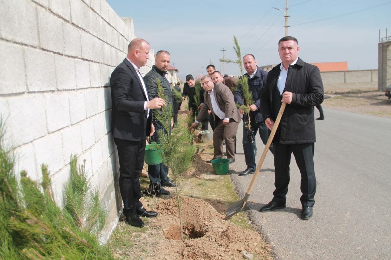 Progress of the Tree Planting and Greening Campaign in the District