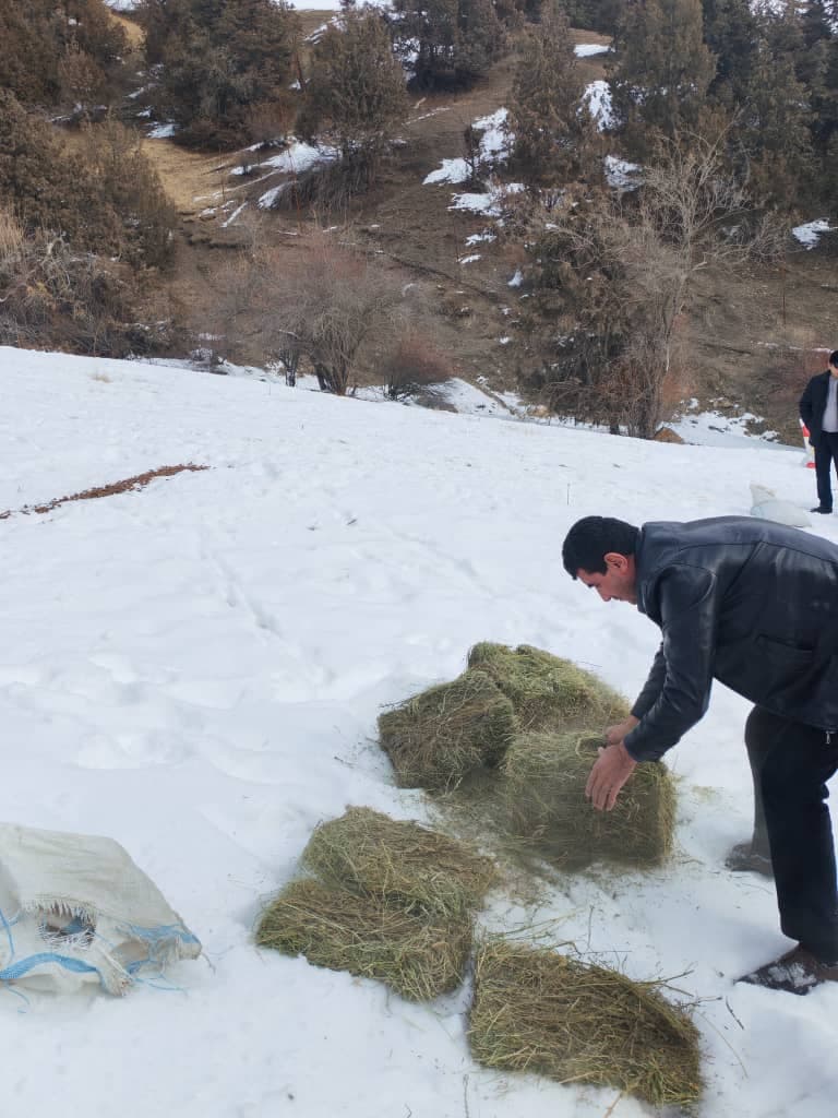 Амалиёти «Ҳифзи ҳайвоноту парандагони ваҳшӣ» дар минтақаҳои баландкӯҳ ва доманакӯҳҳои вилояти Суғд
