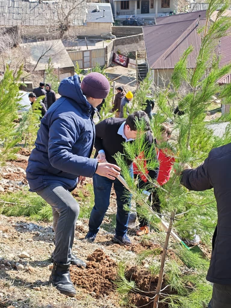 Enhancing Environmental Awareness Through a Tree Planting Campaign