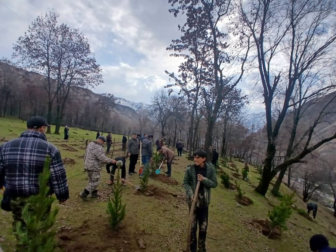 Tree-Planting Event at the Romit Biosphere Reserve