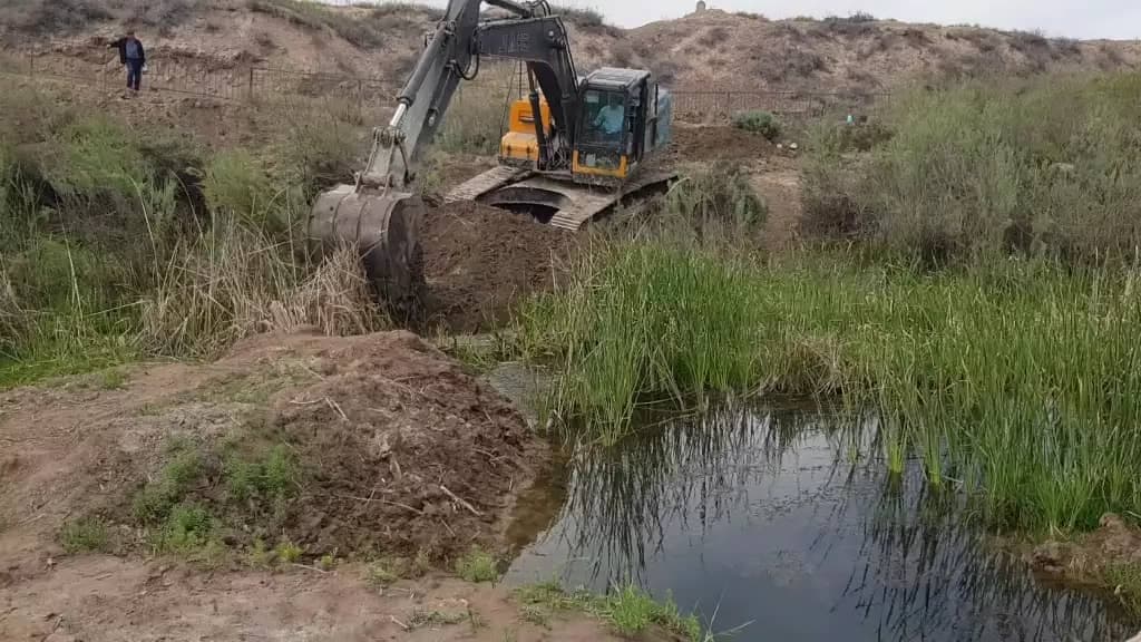 Measures to improve the hydrological condition in the State Nature Reserve “Tigrovaya Balka”