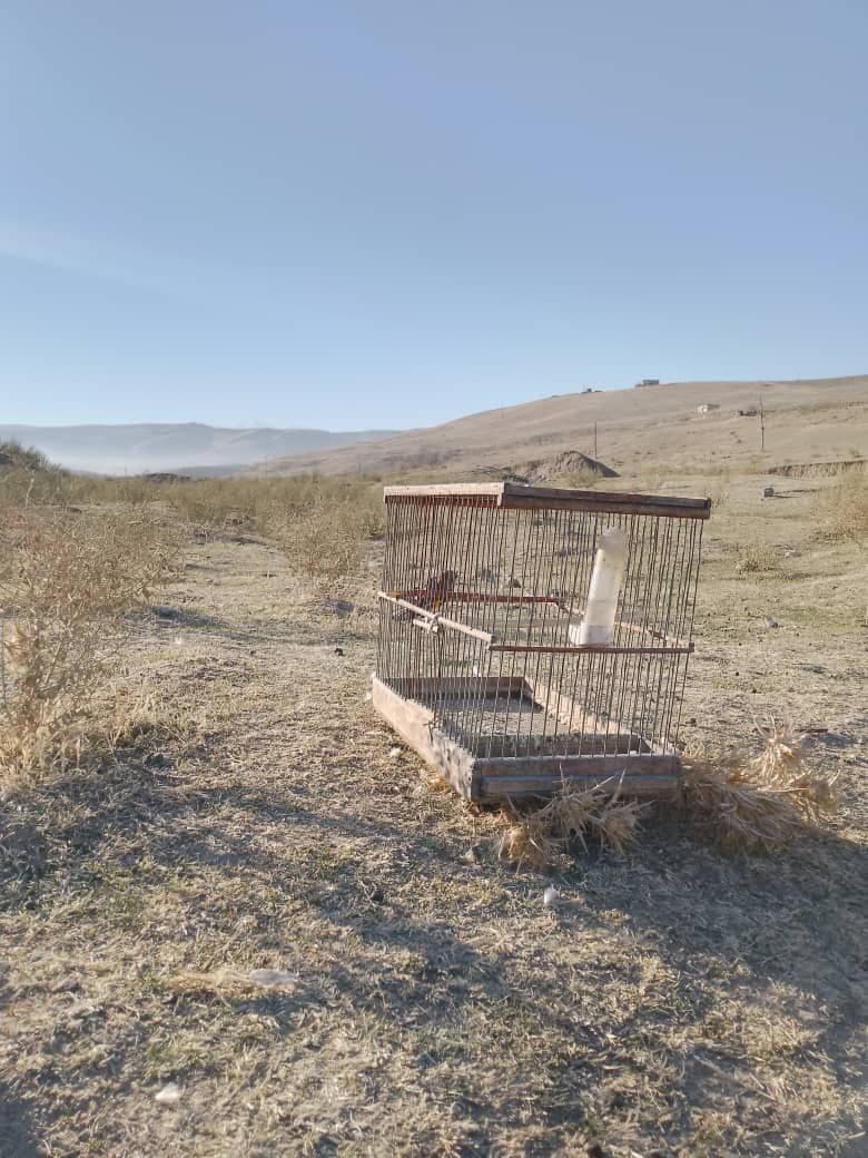 Prevention of Illegal Capture of Songbirds