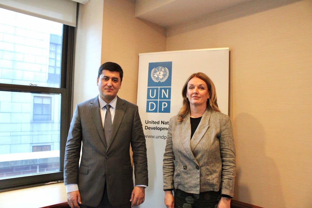 Working meetings with development partners and international institutions on climate cooperation