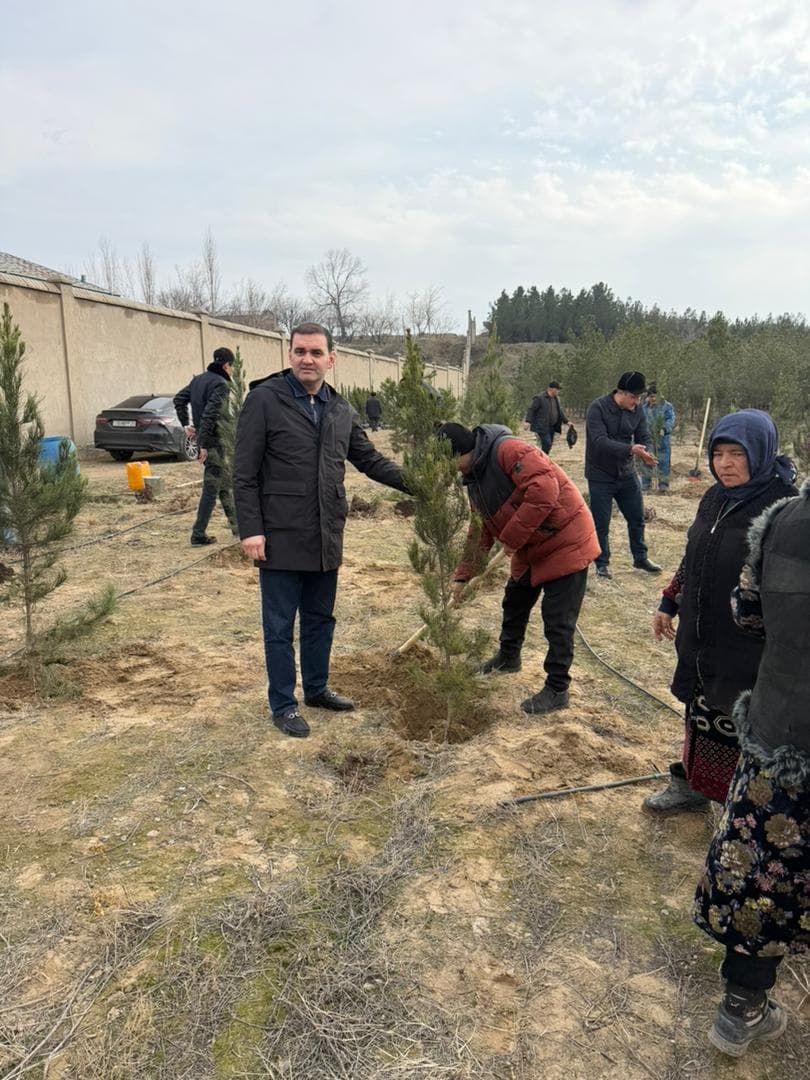 Continuation of Tree Planting and Beautification Activities in the City of Guliston