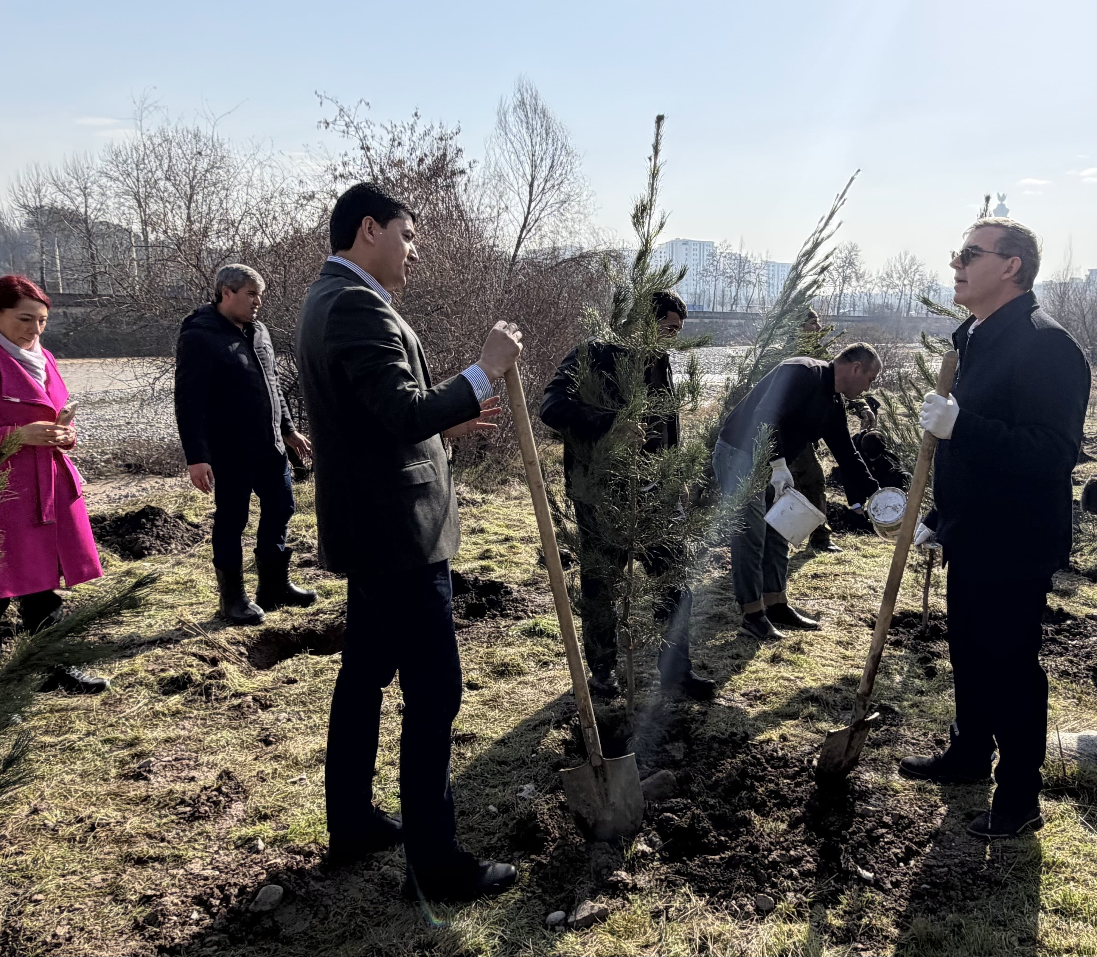 A tree planting campaign – a sustainable step in implementing government environmental programs.